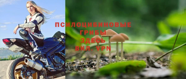 ГАЛЛЮЦИНОГЕННЫЕ ГРИБЫ Богородск