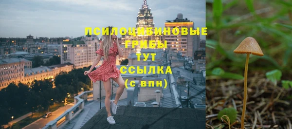 мет Богданович