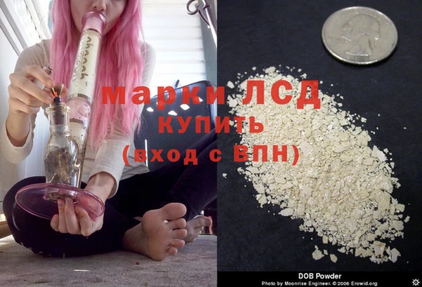 ГАЛЛЮЦИНОГЕННЫЕ ГРИБЫ Богородск